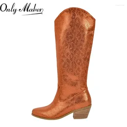 Bottes seulement Maker Brown Western Cowgirl pointu pointu à pied grand veau de talon latérale du talon zipper genou