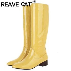 Bottes REAVE CAT genou haute dame bout pointu bas y talons slipon grande taille 3443 solide bleu jaune vert hiver concis S2737 231204