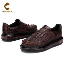 Boots Sipriks Luxury Chaussures décontractées de crocodile brun foncé Luxur