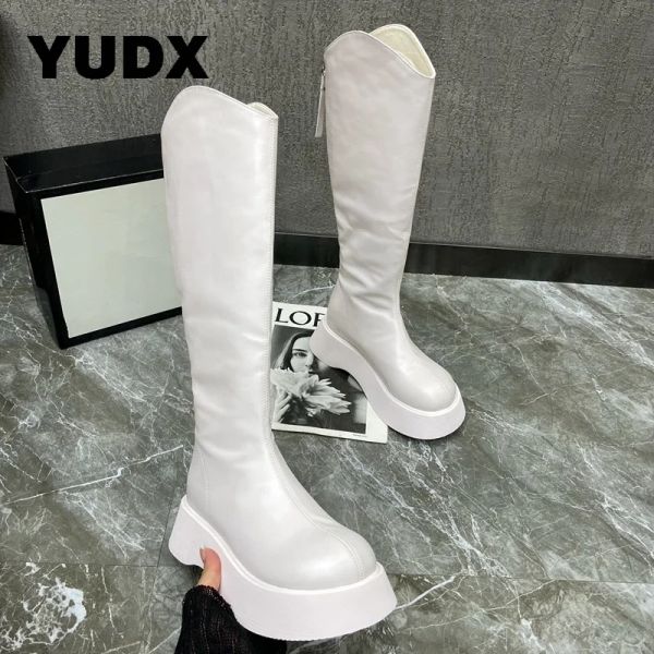 Botas Sombridas gruesas Mujeres Botas Altas Hembra 2023 Nuevo plataforma PLANPIS CAPILLA Autumn Winter Knight Long Long Ladies Shoes Chic