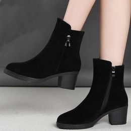 Bottes d'hiver en velours et coton chaud, bottines à talon moyen épais pour femme, automne et hautes simples