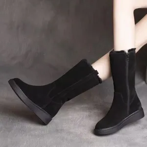 Bottes en daim pour femmes, chaussures à talons hauts avec semelles compensées informelles, style coréen, Semi-canne à sucre, nouveauté d'automne et d'hiver