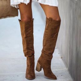 Boots Femmes Suede Knee High Boots Ladies Solid Point Toe Boots Boots rétro Rétro Roman High Heels Chaussures 2022 Femme Automne Hiver Long Botte