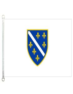 Vlagbanner van Bosnië en Herzegovina 3X5FT90x150cm 100 polyester 110gsm kettinggebreide stof buitenvlag6114987