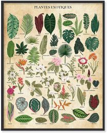 Arte de pared botánica Arte de pared de planta estampados de plantas de estampado botánico vintage, cartel de la naturaleza - cartel de flores Arte signo de metal