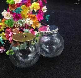 Bouteilles 5 pièces 30 20mm flacon en verre transparent pendentif collier de mode plateau de fleurs souhaitant bouteille pots couverture dôme artisanat bricolage cadeaux
