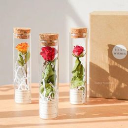 Bouteilles pot en verre de plante à fleurs avec bouchons de liège inspirant la décoration de maison claire des fournitures de mariage cadeau pour les amis