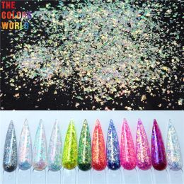 Flessen tct153 iriserende regenboog kleur mylar shard onregelmatige vlokken glitter voor nagel art nagel gel make -up diy handmatige ambachten decoratie