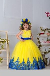 Boutique flor de la Navidad del vestido del Maxi vestidos con la mariposa de la fiesta de cumpleaños de la princesa del traje del funcionamiento Rosa Amarillo