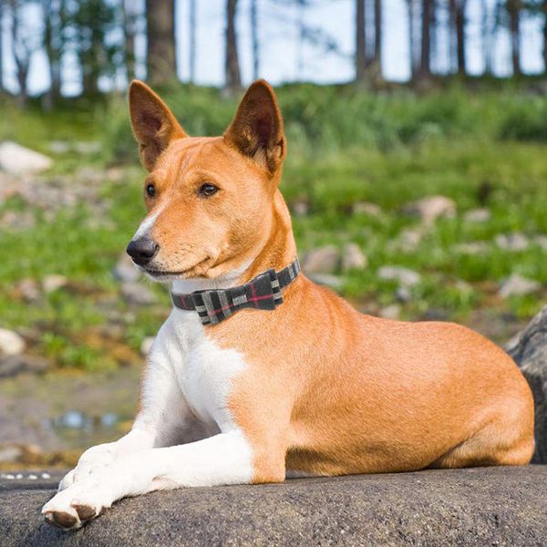 Colliers et laisse pour chien avec nœud papillon, breloque à carreaux classique, bandana et collier réglables en cuir souple pour chiots et chats, 3 pièces B322621