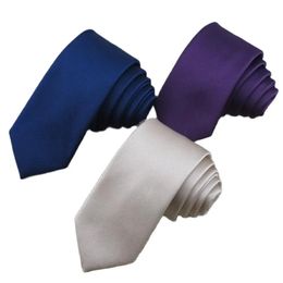 Noeuds papillon 2 pièces/lot cravate pour garçon/conception à fines rayures de couleur Pure plusieurs couleurs peuvent choisir/cravate étroite en polyester pour hommes 231027