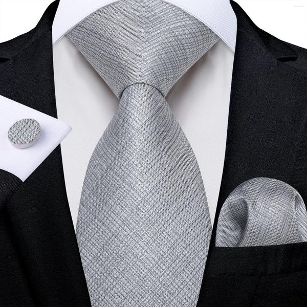 Bow Ties 2024 mode massif gris bleu rose violet pavé de cravate pour hommes