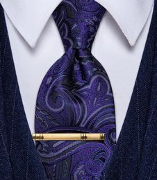 Bow Ties Blue and Purple Paisley Tie met clip Silk Corbatas Para Hombre Classic Men's stropdas voor huwelijkszakenfeest man