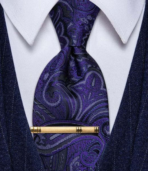 Noeuds papillon Cravate Paisley Bleu Et Violet Avec Clip Soie Corbatas Para Hombre Classique Cravate Homme Pour Mariage Business Party Homme