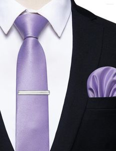 Noeuds papillon classique luxe violet mince cravate pour homme chemise gilet accessoires mode poche carré cravate mariage pince ensemble cadeau
