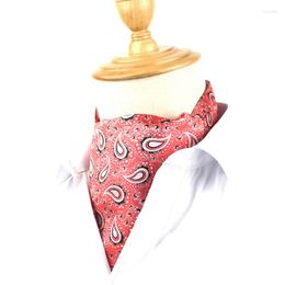 Bow Ties Fashion Floral Paisley Mens Cravat Britse stijl Gentleman Polyester Silk Neck Tie Wedding Party Cravats Ascot voor mannen