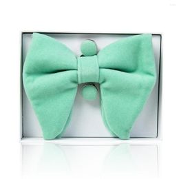 Noeuds papillon vert hommes pré-attaché surdimensionné cravate smoking velours noeud papillon boutons de manchette Hanky ensembles coloré tenue quotidienne boîte-cadeau pour Hombre