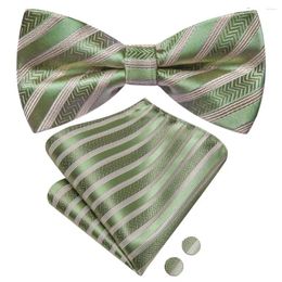 Bow Ties Hi-Tie Striped Green Men Tie Hankerchief Cuffers de bouffée pré-Tied Silk Butte