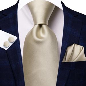 Bow Ties Light Champagne Solie Silk Wedding Tie pour hommes Handky Cuffers Coldie Set Fashion Design Business Party Drop Hi-Tie 301C