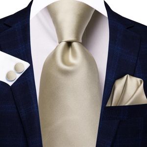 Bow Ties Light Champagne Solie Silk Wedding Tie pour hommes Handky Cuffers Coldie Set Fashion Design Business Party Drop Hi-Tie 233a
