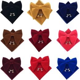 Bow Ties Men Solid Big Velvet Tie Magflinks Pocket Square Set Bowtie Hanky Chicle Links Bwtqn0303