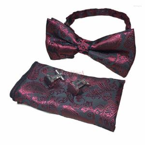 Nœuds papillons pour hommes, ensemble de boutons de manchette, mouchoir, réglable, Jacquard tissé Paisley, accessoires de fête, cravate de cou MN109