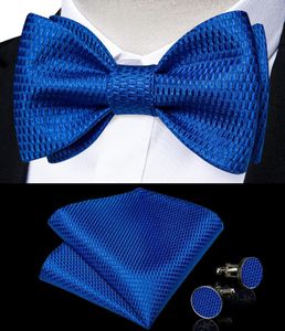 Pajaritas Royal Blue Men Bowtie Pocket Square Gemelos Set para hombre Accesorios Boda Uso diario Seda Sólido Nudo de mariposa Corbata Regalos