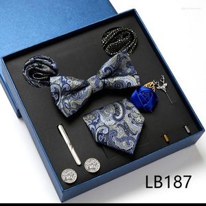 Noeuds papillon cravate ensemble 8 pièces cravate boîte cadeau pour hommes boutons de manchette pince broches luxe cravates poche carré mouchoir costumes mariage