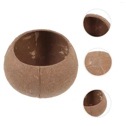 Bols Bol DIY Coquille De Noix De Coco Support En Bois Pot De Ménage Artisanat Fabrication De Conteneurs De Bonbons