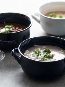 Kommen dubbele oorschaal keramische soep anti-schalen hoge temperatuur resistent huishoudelijke oven speciaal gebruik noedelbakken