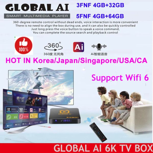 Box Newglobal AI 3FNF / 5FNF Asia Best Android TV Box Ai Voice Dual WiFi 4 + 64 Go Hot in Korea Japan Canada USA SG PK EVPAD TV Box 6P 6S