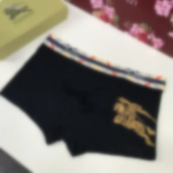 Boxers Hot Designer Underwear Sexy Men's Boxer Boxer Casual Shorts Underwear Luxury Luxury Souhtable Underwear 2024