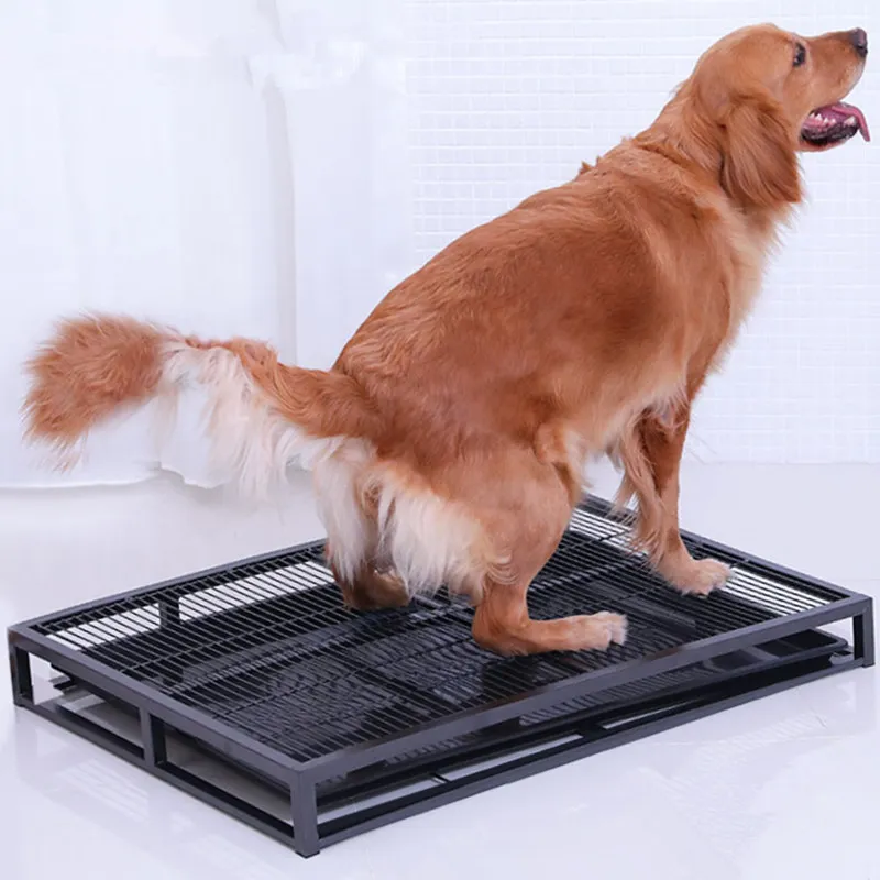 Lådor dogtoilet inomhus hund toalett rostfritt stål kull lådor för stora hundar tränar valp kull lådan sandbassäng husdjur rengöring verktyg