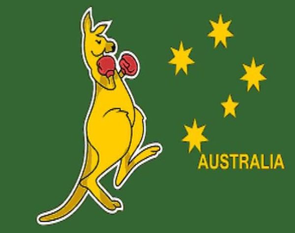 Boîte Kangaroo Flag 3ft x 5ft Polyester Banner Flying 150 90cm Flag personnalisé Outdoor2781909