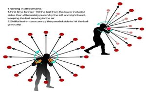 Boksreflexsnelheid Punch Ball Training Hand Oog met hoofdband Verbetering Reactie Muay Thai Gym Oefening Apparatuur4633511