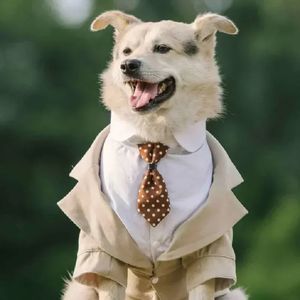 Jongenshondenkleding Tuxedo Poodle Schnauzer Corgi Shiba Inu Husky Labrador Golden Retriever Big Large Dog Clothing Wedding Suit 240524