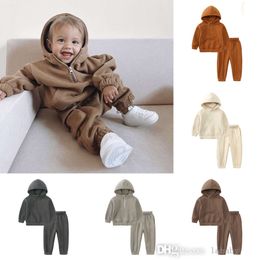 Jongens en meisjes Trainingspak voor kinderen Herfst Winter Tweedelige truiset Lange mouw Fleece Rits Pullover Capuchon Capuchon Joggingbroek Casual Sportbroeken Sets Outfits 0-7Y