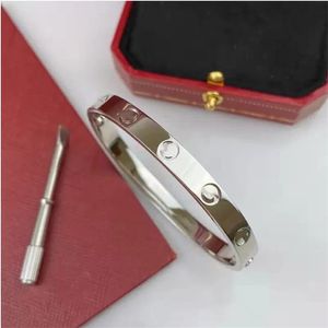 Armband schroef een klassieker voor dames man meisjes mode goud armband titanium kristal design minnaar charm diamant armbanden 4 cz designer sieraden