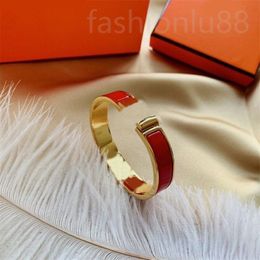 Armbanden ontwerper voor vrouwen dikke heren armbanden Joodsy modieuze punkmetaal romantisch email Pulsera multicolor populaire charmes armband verguld c23