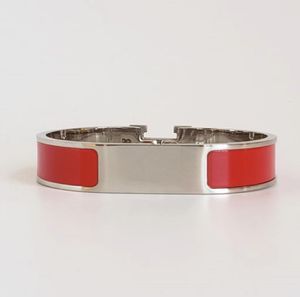 armbanden designer heren designer armband damesarmband Modieuze en elegante meerkleurige roestvrijstalen verzilverde metalen armband voor cadeau