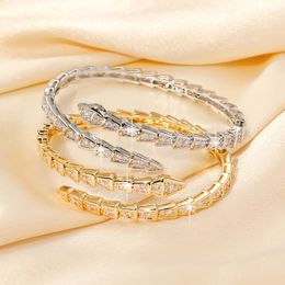 Armbanden luxe zilveren koppelpangle bamboe botarmbanden voor vrouwen verstelbare serpentine volledige diamanten armband 2 kleuren casual feest geschenk sieraden