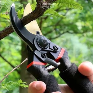 Branche fruits sécateur jardinage jardin économie de travail outils bruts T 231228