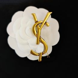 Merk Broches Designer Broche Pins Luxe Sieraden Vrouwen Mannen Unisex Gouden Broches Sieraden Accessoires Liefhebbers Gift