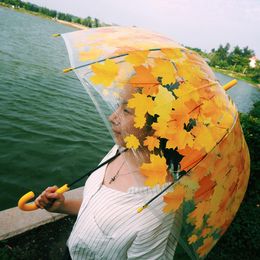 Brand Flower Umbrella For Women Transparent Umbrella Girl Parasol Sun Portable fortement Pluie Femme Soleil UV