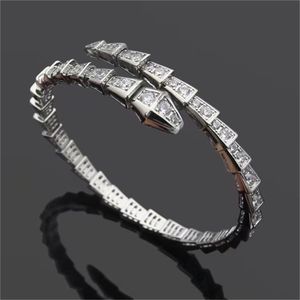 Brand bijoux serpent bracelet pour les femmes copine Gold Diamond Charm Rose Friends Party Birthday Bracelet mignon