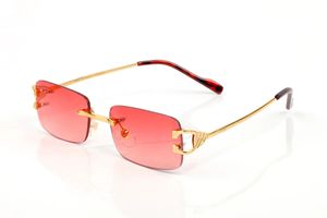 Brand New Designer lunettes de soleil femmes polarisées sans monture homme mode polygone accessoire à la mode Carti lunettes de soleil lunettes uniques Eyegla