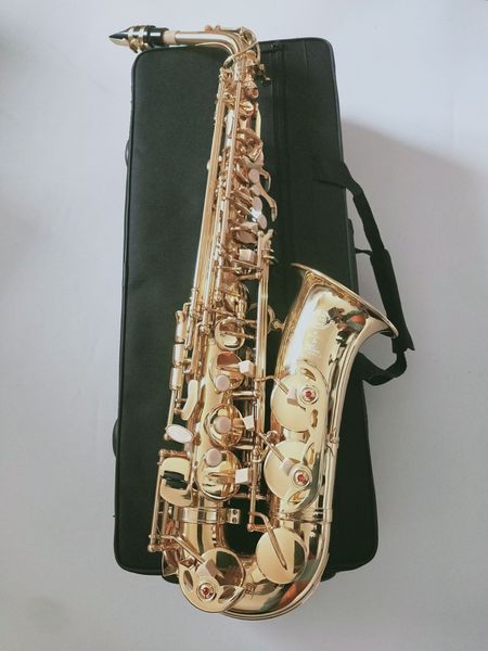 Tout nouveau SAS-802 Alto Saxophone Gold Laquer Sax for Childre