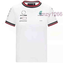 Marque Petronas Luxe Mercedes Hommes T-shirts Amg F1 Lewis Hamilton Benz T-shirts Formule Un Polo Pit Grand Prix Moto Séchage Rapide Conduite SJ1Dmy