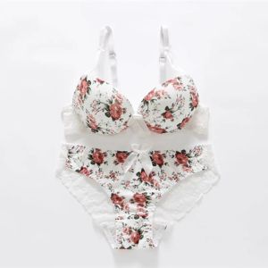 Bras filles de soutien-gorge pas cher set mode sexy lingerie Sous-vêtements sets femelles sexy en dentelle de soutien-gorge réglable mince tasse plus taille push up bra ensembles