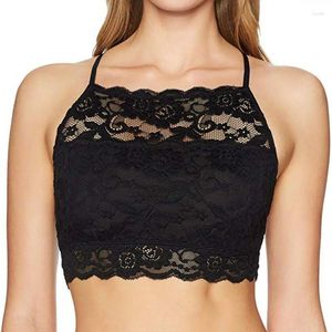 Bras en dentelle de lacet enveloppé le débarquement de femmes tube intime push up back back sexy tops bralette couleur